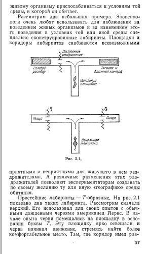 Исследование поведения червя
